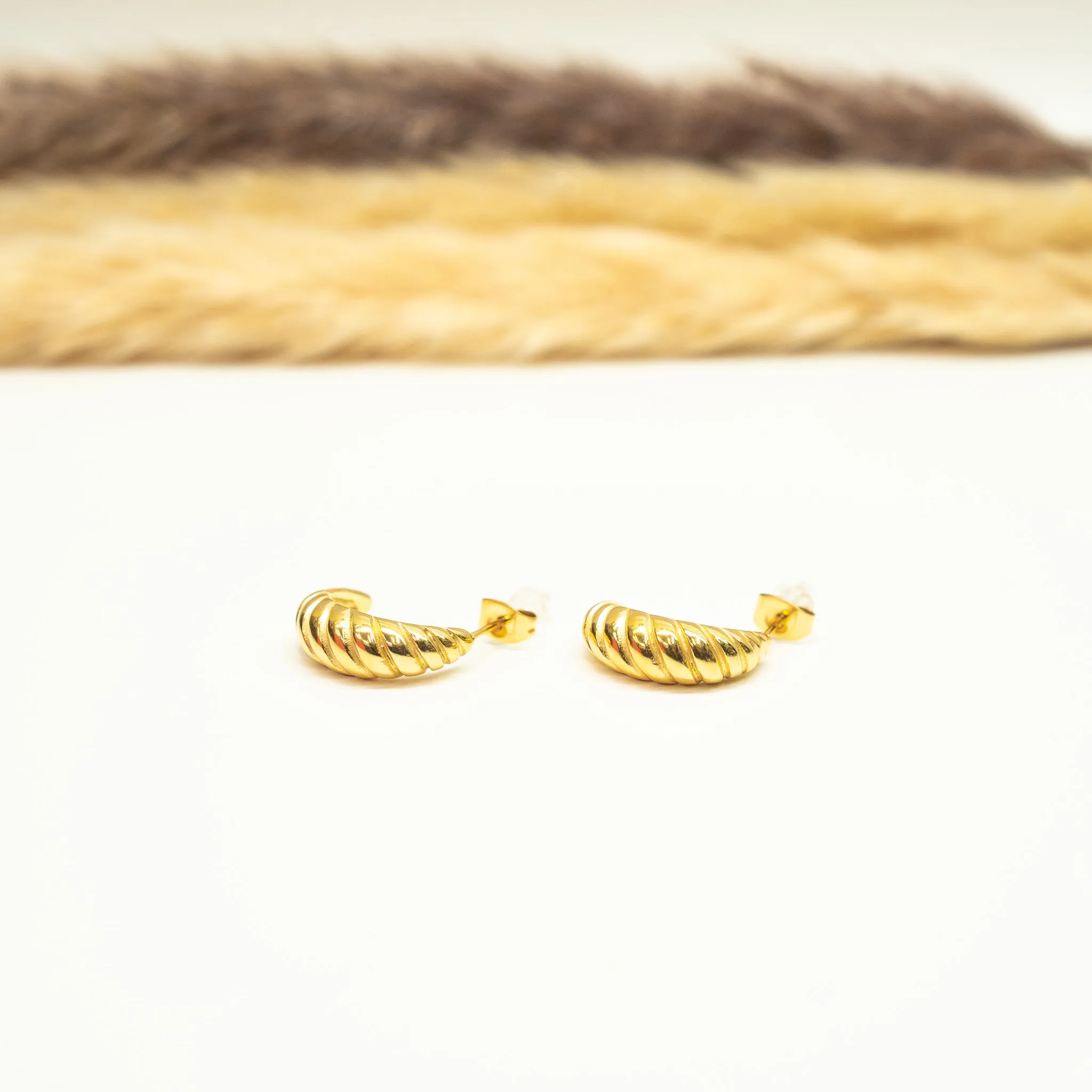 Crescent Shell Earrings