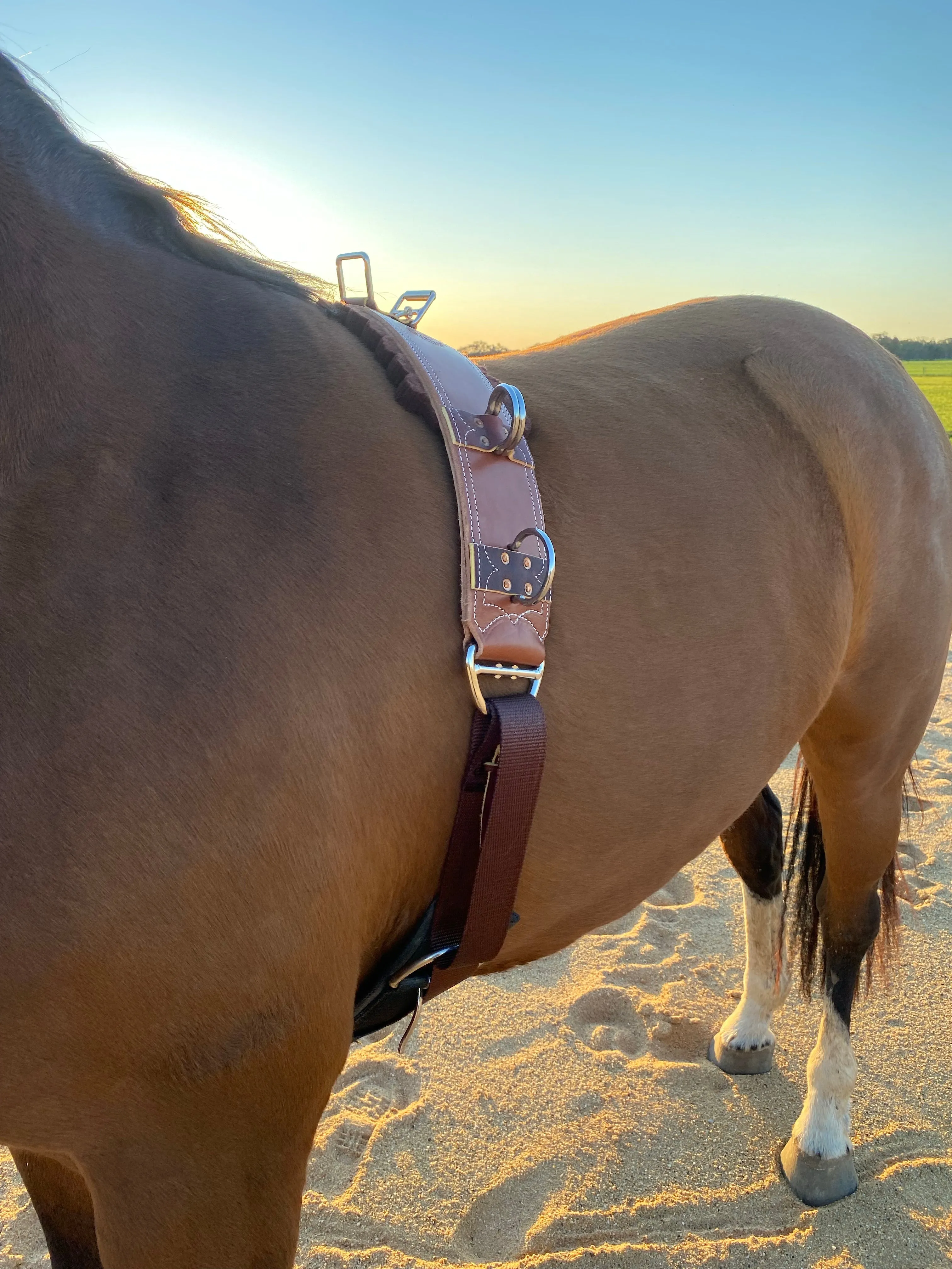 Drovers Saddlery Made Breaking in Roller